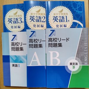 新中問とリード問題集